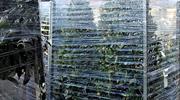 Winners and losers this horticulture week
